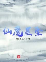 仙魔星坠封面