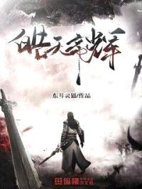 皓天帝辉封面