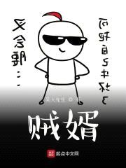 贼婿封面