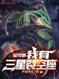 宝可梦：我有三星裂空座封面
