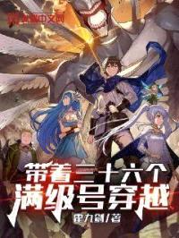 带着三十六个满级号穿越封面