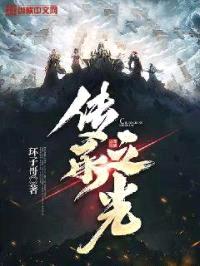 传承之光封面