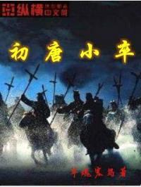 初唐小卒封面