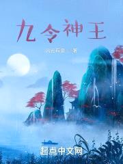 我是九令至尊封面
