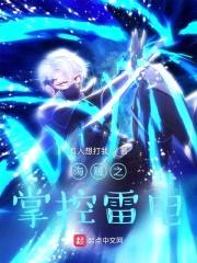 海贼之掌控雷电封面