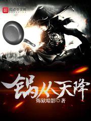 锅从天降封面