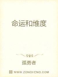 命运和维度封面