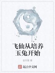 飞仙从培养玉兔开始封面