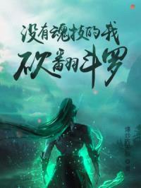 人在斗罗，没有魂环封面