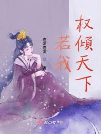 若我权倾天下封面