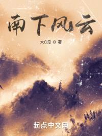 南下风云封面