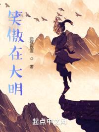 笑傲在大明封面