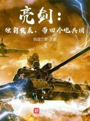亮剑：独自发展，带回个炮兵团封面