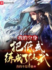 我的分身把低武练成了仙武封面