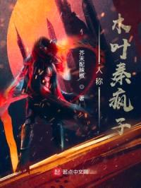 人称木叶秦疯子封面