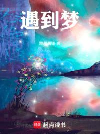 遇到梦封面