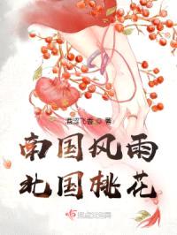 南国风雨，北国桃花封面