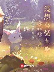 我明明没想当领主啊封面