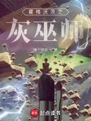 霍格沃茨之灰巫师封面