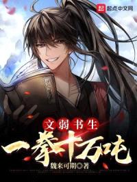 文弱书生一拳十万吨封面