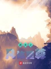 遮天之凡体至尊封面