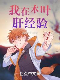我在木叶肝经验封面