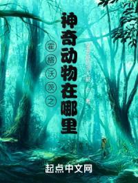 霍格沃茨之神奇动物在哪里？封面