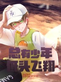 总有少年低头飞翔封面