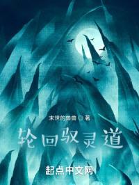 轮回驭灵道封面