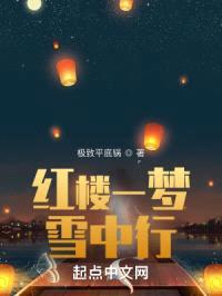 红楼一梦雪中行封面