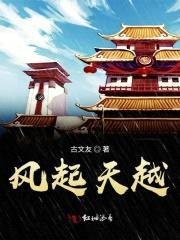 风起天越封面