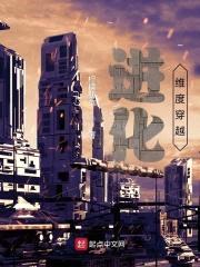 类似维度的重来人生封面