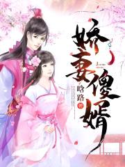 娇妻傻婿封面