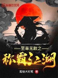 至尊无敌之称霸江湖封面