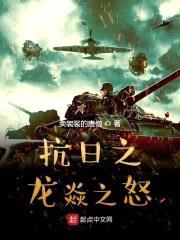 抗日之龙焱之怒封面