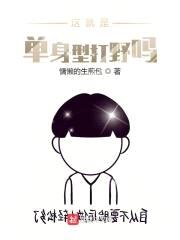 这就是单身型打野吗？封面