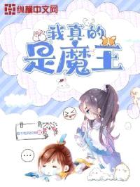 我真的是魔王封面
