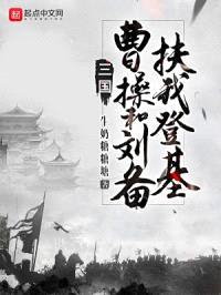 三国：曹cao和刘备扶我登基封面