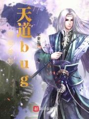 我能看到天道bug封面