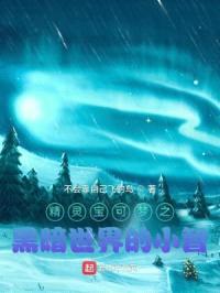 精灵宝可梦之黑暗世界的小智封面