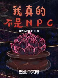 我真的不是NPC封面