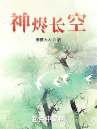 神烬长空封面