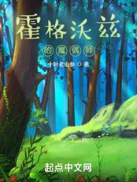 霍格沃茨的魔偶师封面