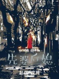 先婆后媳封面
