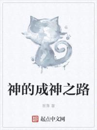 神的成神之路封面
