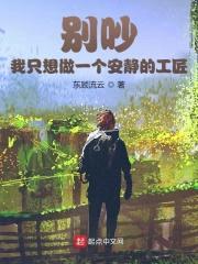 别吵，我只想做一个安静的工匠封面