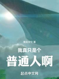 我真只是个普通人啊！封面