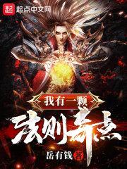 我有一颗法则奇点封面