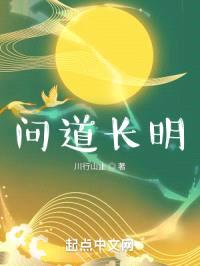 问道长明封面