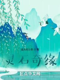 灵石奇缘封面